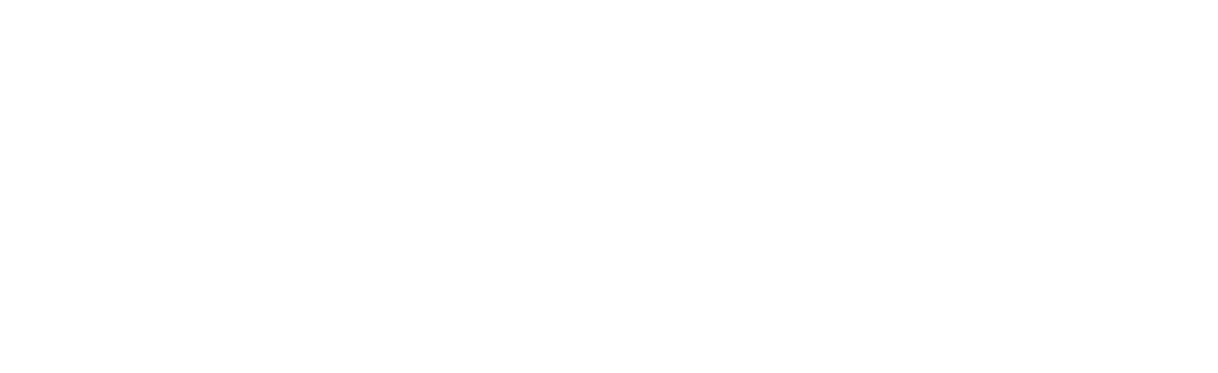 The McNabb Center logo